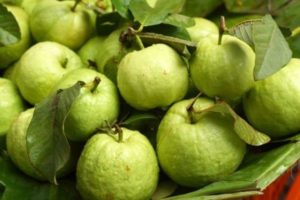 Những loại trái cây tháng 10 thơm ngọt, bổ dưỡng khắp ba miền đất nước